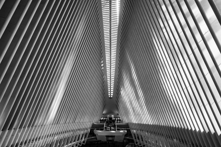 Concrete Fishbone